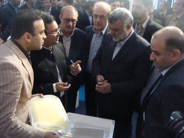 اخبار آنلاین ماهی